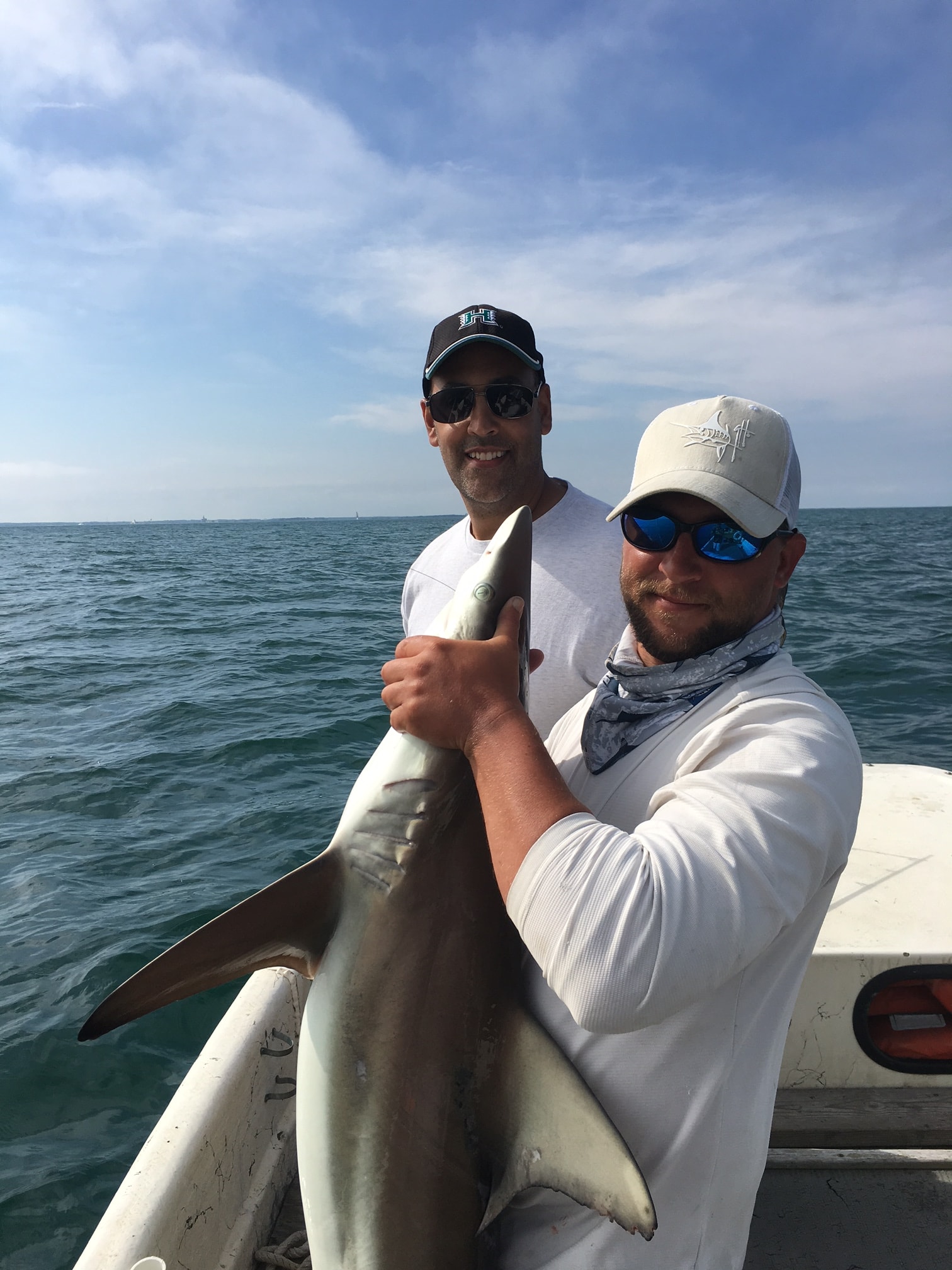 Shark Adventure